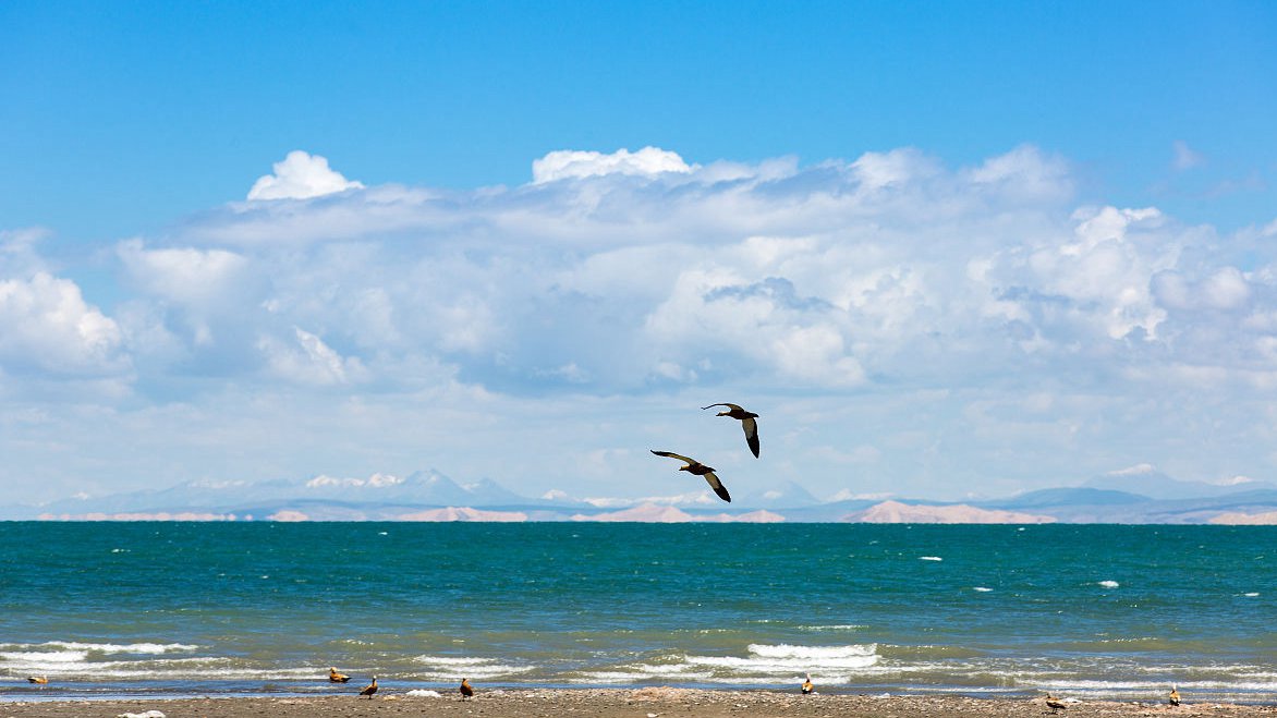  青海湖